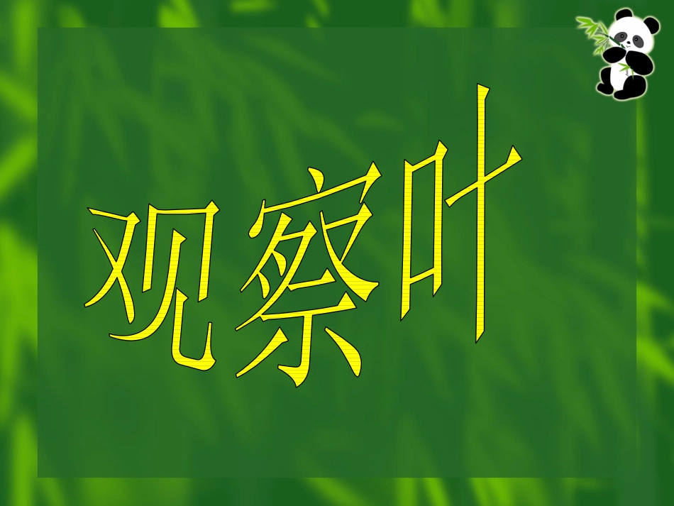 一上一年级科学 3 观察叶_第1页