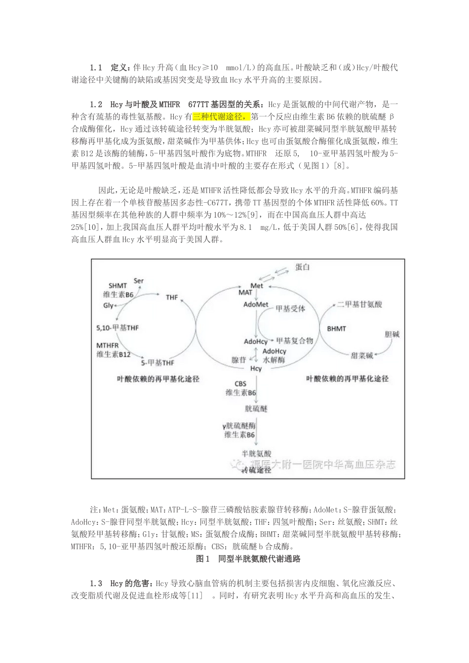 H型高血压诊断与治疗专家共识_第2页