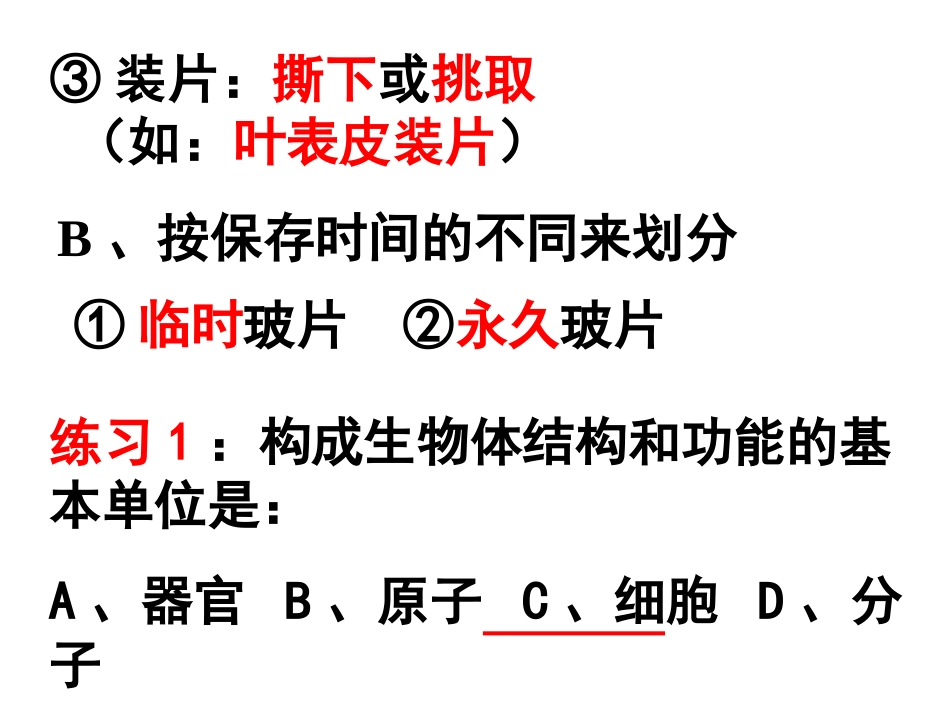 植物细胞PPT课件_第2页