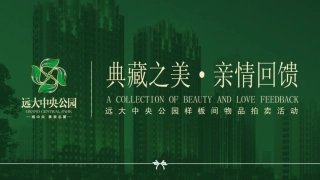 私人定制-远大中央公园样板间软装物品拍卖活动方案