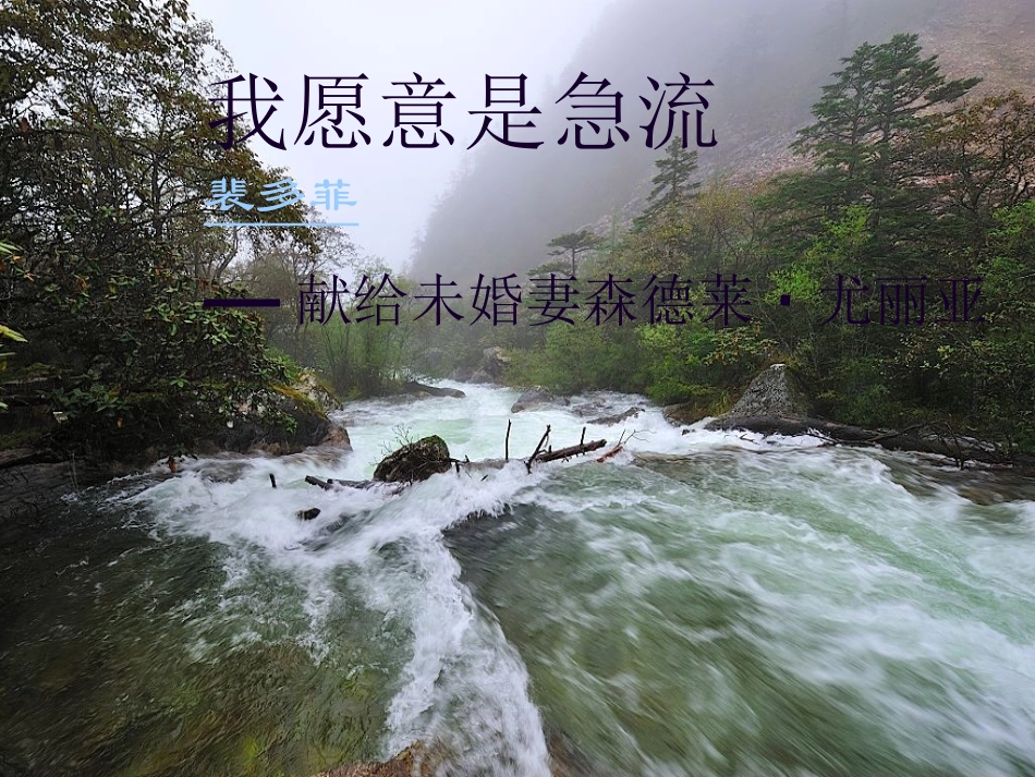 《我愿意是急流》ppt_第1页