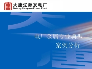 火力发电厂金属典型案例分析