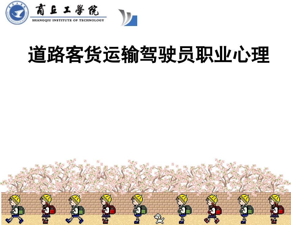 道道路客货运输驾驶员从业资格培训_第2页