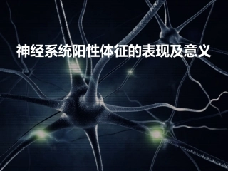 神经系统查体