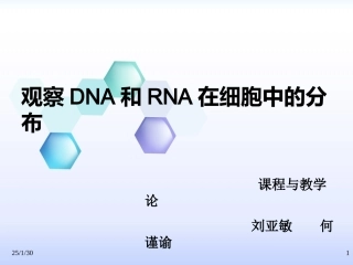 观察DNA和RNA在细胞中的分布