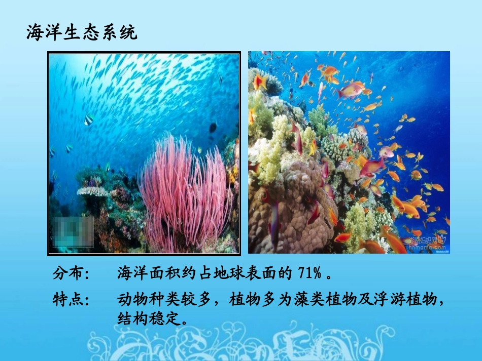 第一节  生物圈中的各种生态系统_第2页