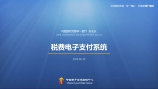 中国国际贸易“单一窗口”标准版-税费电子支付系统