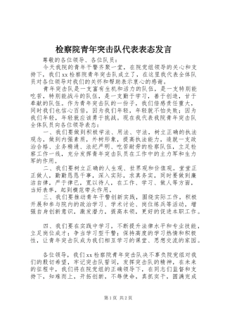 检察院青年突击队代表表态发言