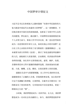 中国梦审计情征文_1