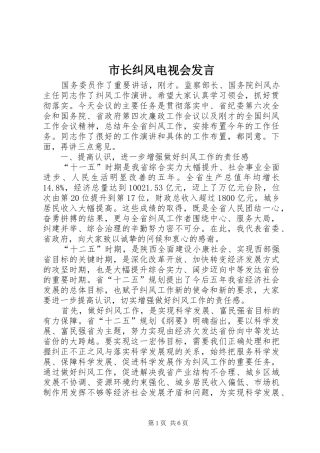 市长纠风电视会发言