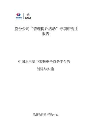 中国水电集中采购电子商务平台的创建与实施
