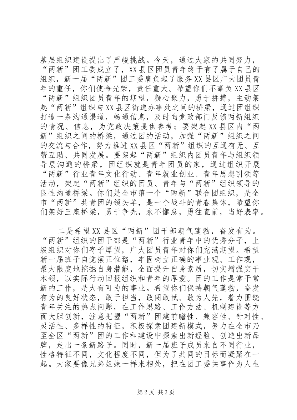 团市委副书记王金京在XX县区“两新”组织团工委成立大会上的讲话_第2页