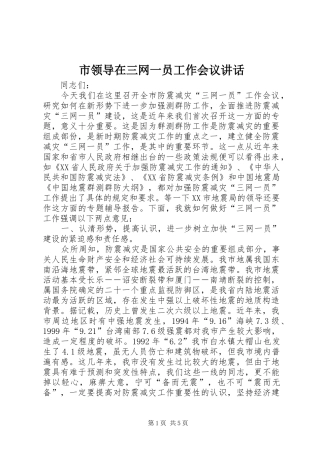 市领导在三网一员工作会议讲话