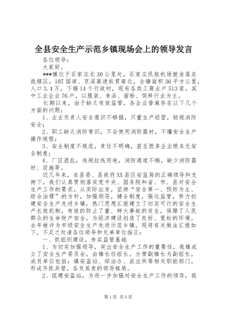 全县安全生产示范乡镇现场会上的领导发言