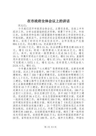 在市政府全体会议上的讲话_2