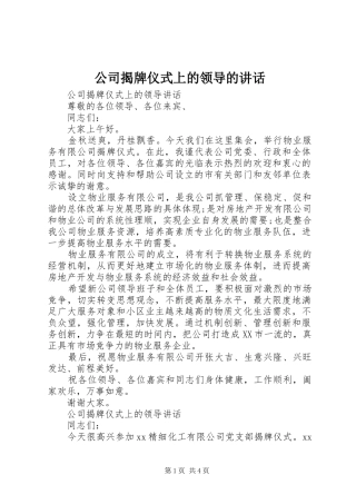 公司揭牌仪式上的领导的讲话