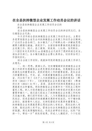 在全县扶持微型企业发展工作动员会议的讲话