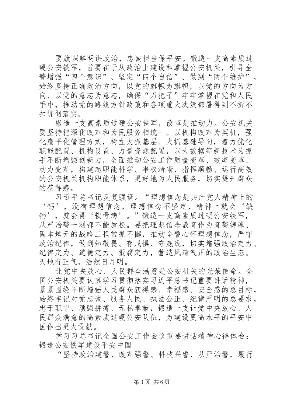 学习习总书记全国公安工作会议重要讲话精神心得体会_第3页