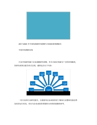 中国电视剧场调研报告