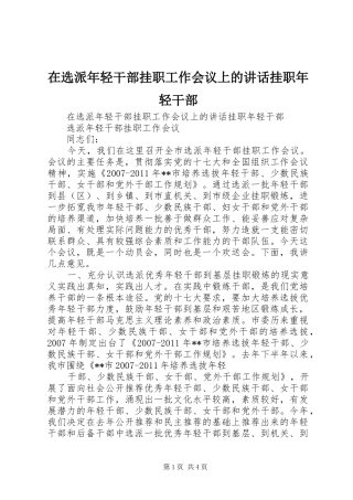 在选派年轻干部挂职工作会议上的讲话挂职年轻干部