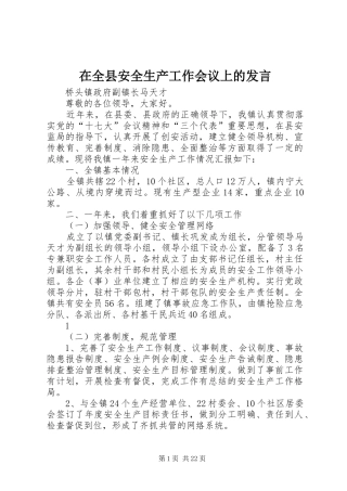 在全县安全生产工作会议上的发言