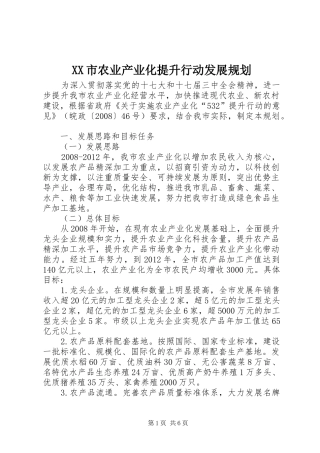 XX市农业产业化提升行动发展规划