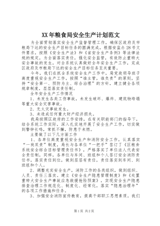 XX年粮食局安全生产计划范文