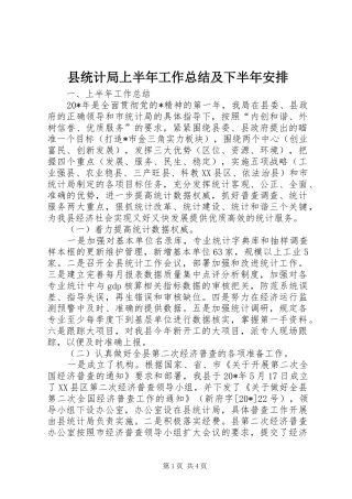 县统计局上半年工作总结及下半年安排