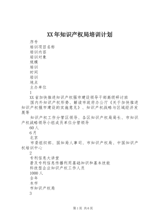 XX年知识产权局培训计划