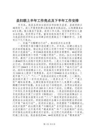 县妇联上半年工作亮点及下半年工作安排