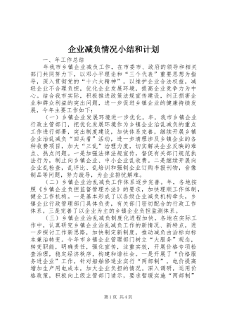 企业减负情况小结和计划