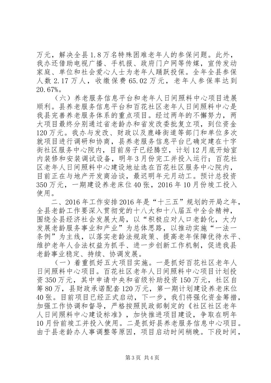 乡镇老龄办年度工作总结及工作安排_第3页