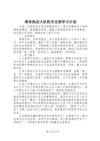 商务执法大队机关支部学习计划