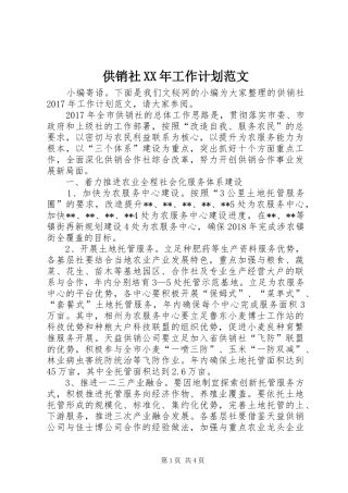 供销社XX年工作计划范文