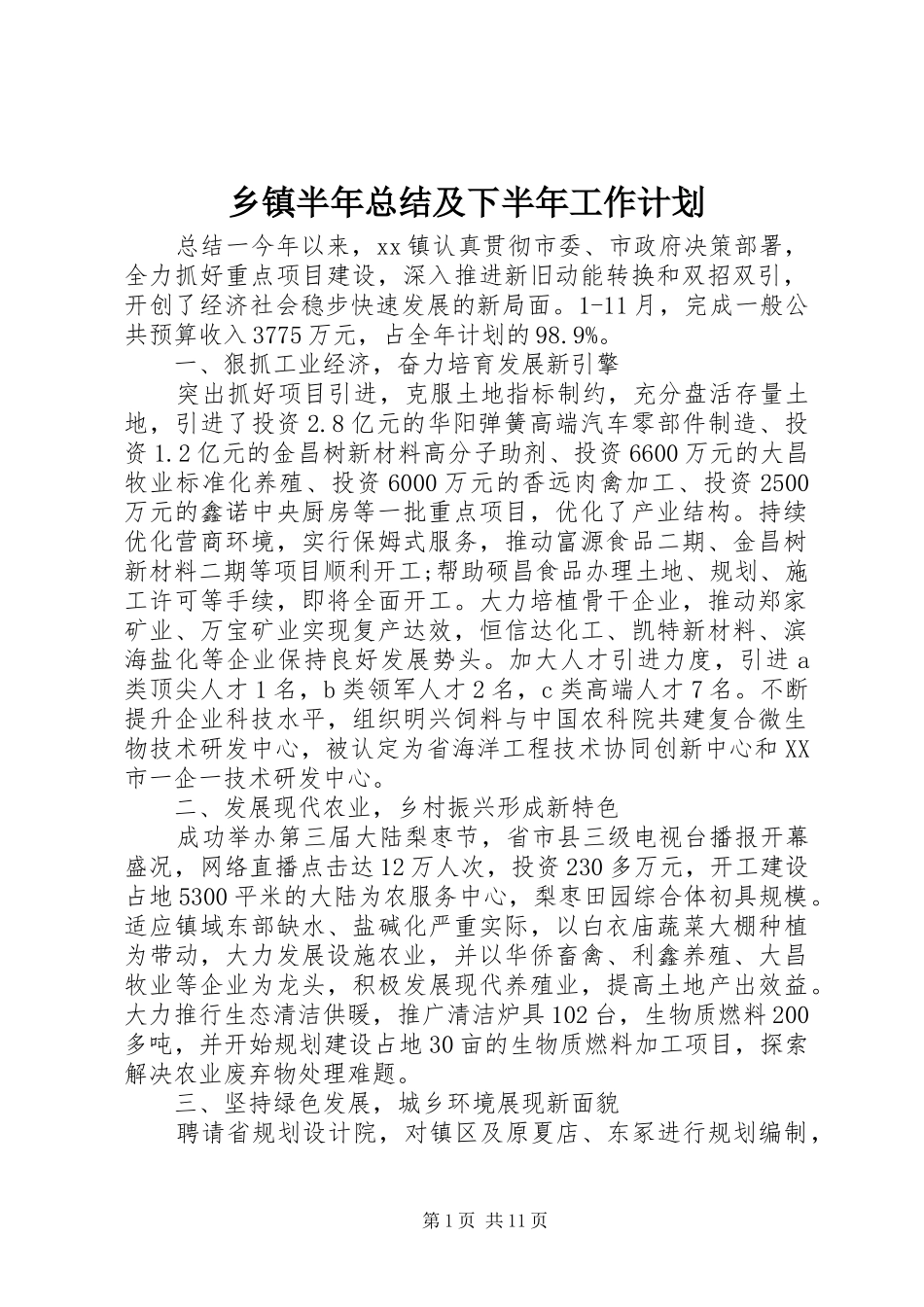 乡镇半年总结及下半年工作计划_第1页