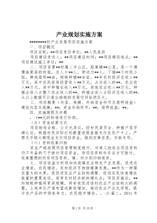 产业规划实施方案