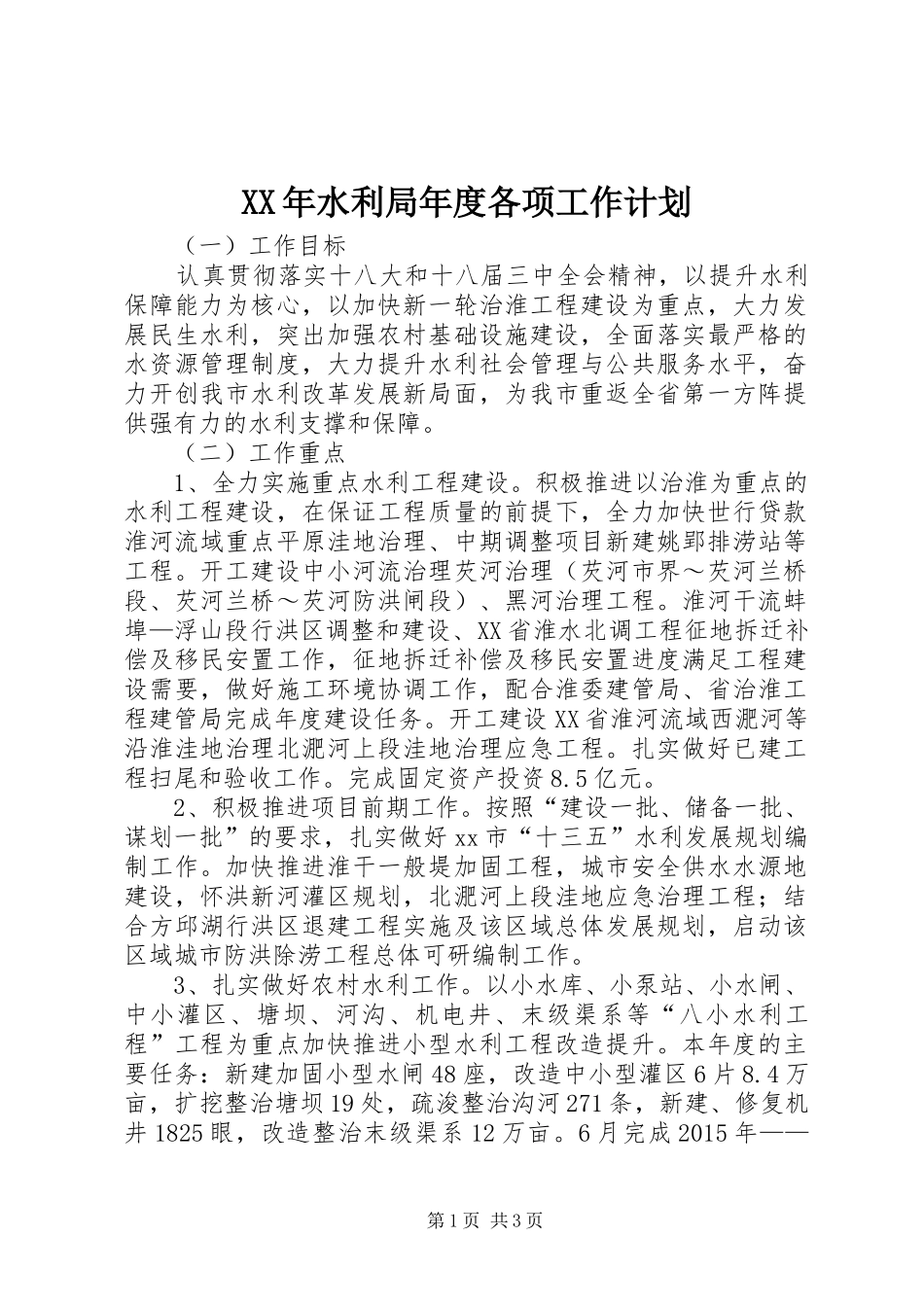 XX年水利局年度各项工作计划_第1页