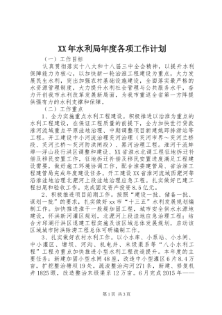 XX年水利局年度各项工作计划