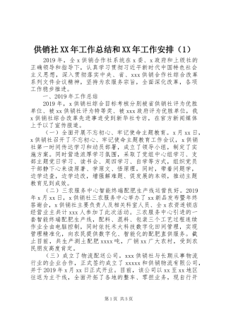 供销社XX年工作总结和XX年工作安排（1）
