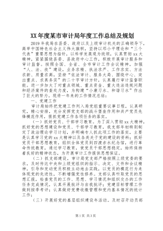 XX年度某市审计局年度工作总结及规划