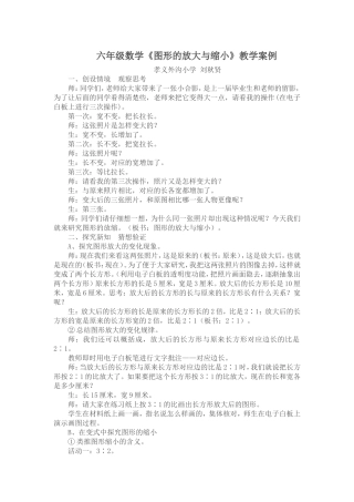 放大与缩小教学案例