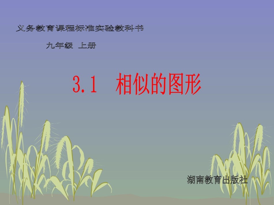 湘教版九年级上31相似的图形课件_第1页