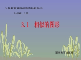 湘教版九年级上31相似的图形课件