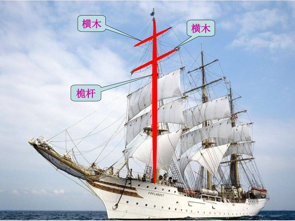 《跳水》课件_第3页