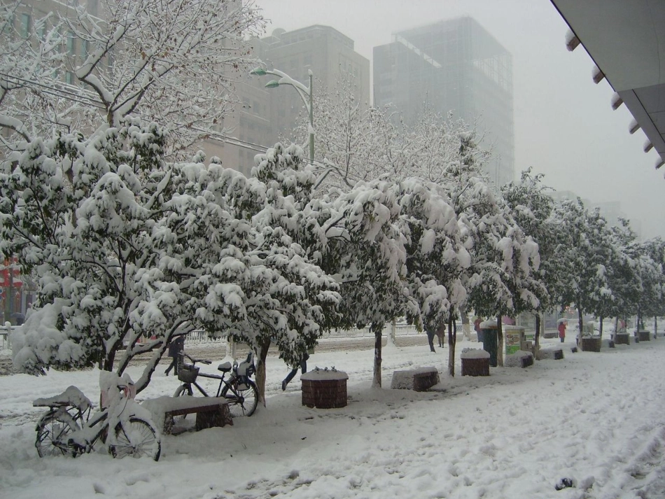 有理数的除法金星张晓华_第3页