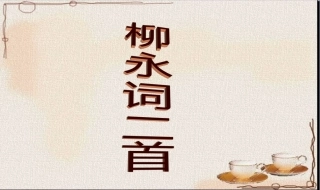 《宋词四首》《柳永词二首》《苏轼词二首》《李清照词二首》《辛弃疾词三首》