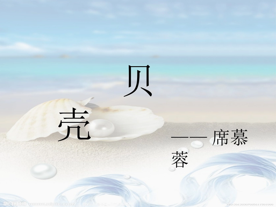 《贝壳》+《敬畏生命》_第1页