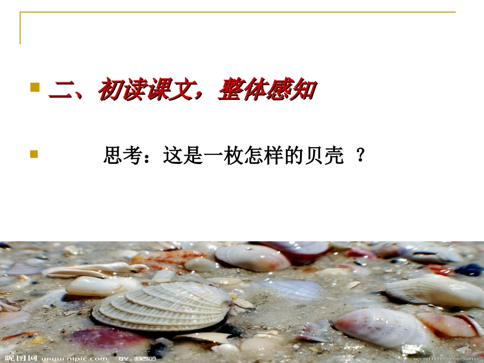 《贝壳》+《敬畏生命》_第3页