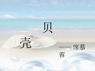 《贝壳》+《敬畏生命》