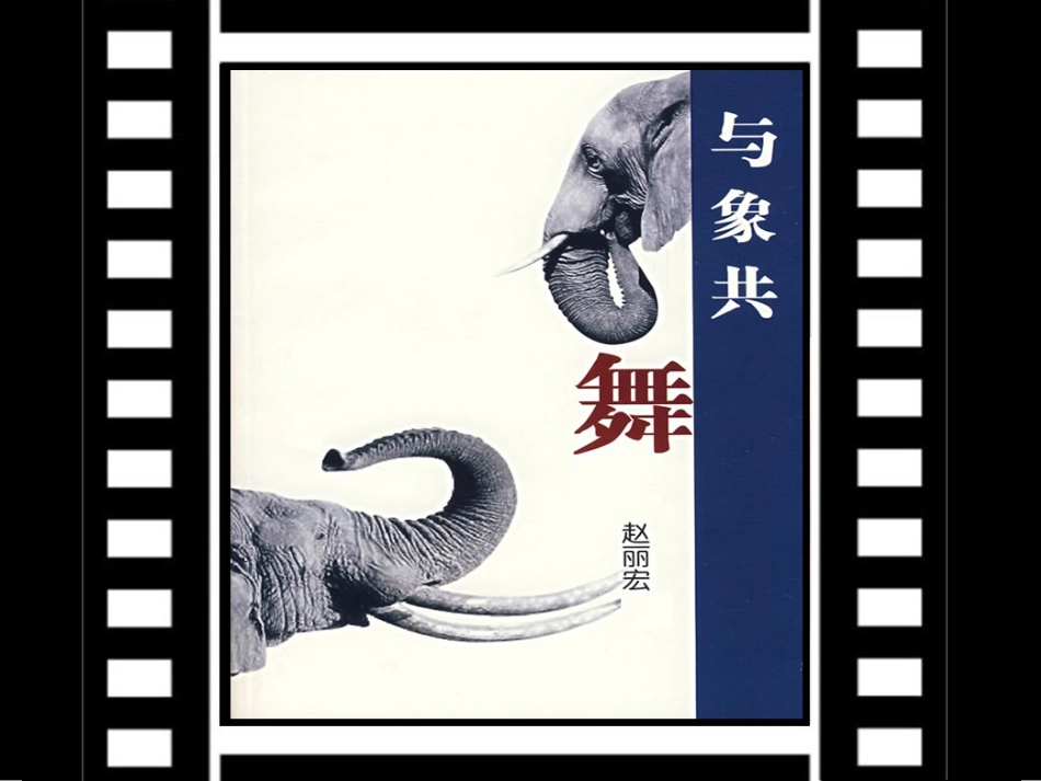 与象共舞（A）_第1页